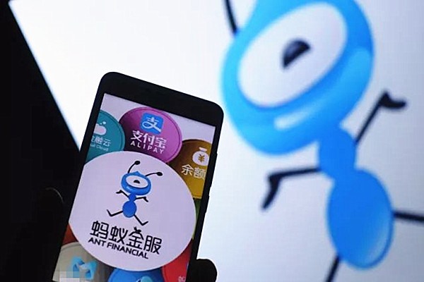 交易猫手机号失效？